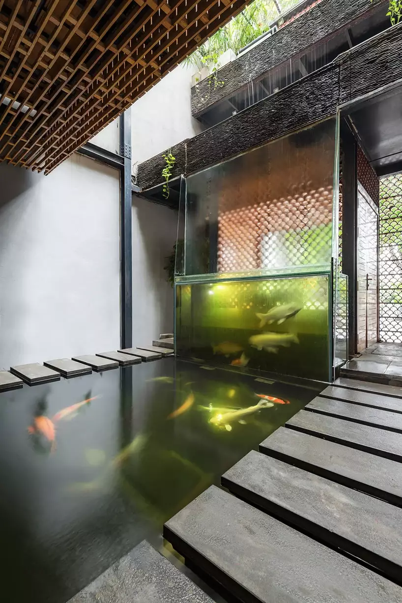 lợi ích bể cá 