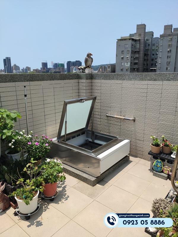 những loại cây trồng trong nhà phổ biến