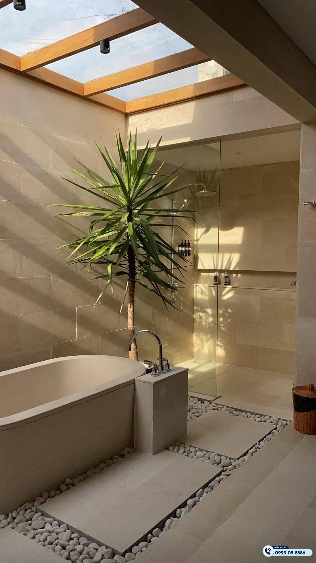 mẫu giếng trời nhà vệ sinh