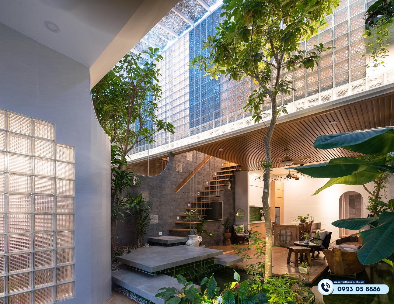 ưu điểm trồng cây giếng trời