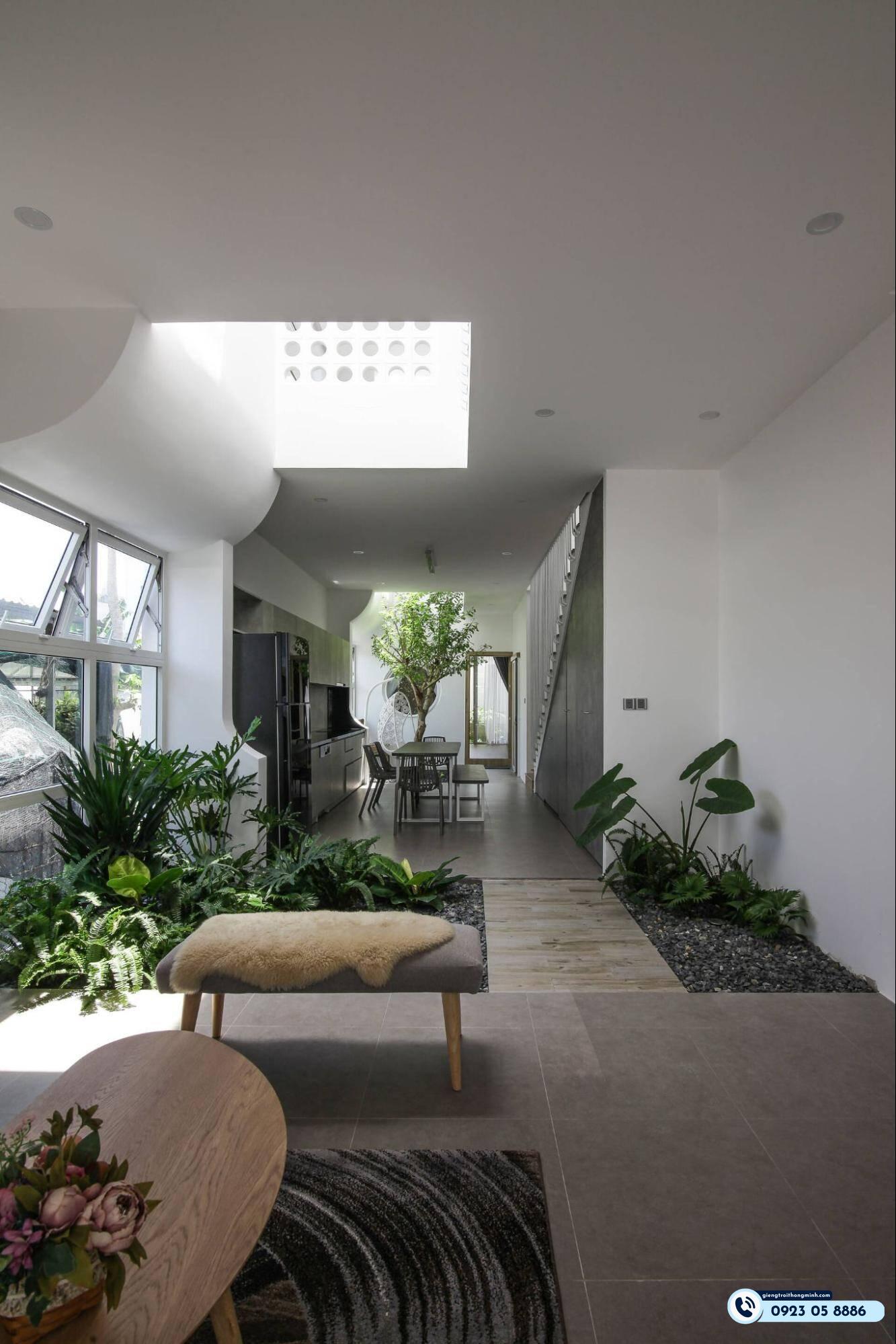 phong thủy trồng cây giếng trời