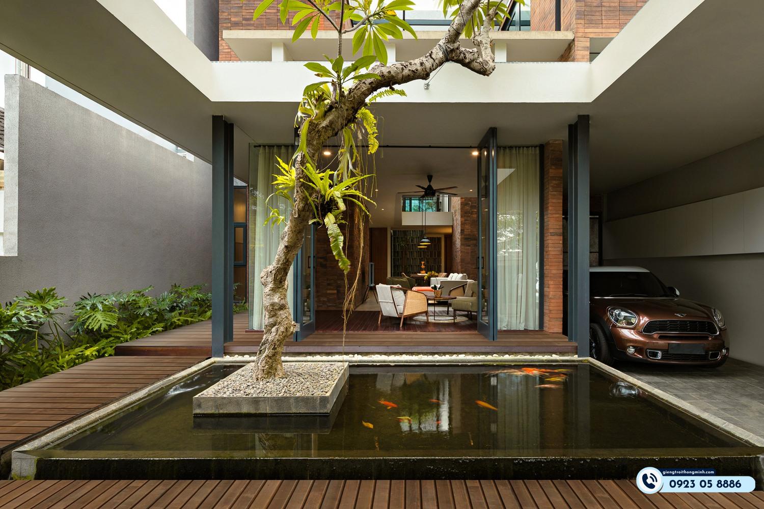 nguyên tắc trồng cây giếng trời