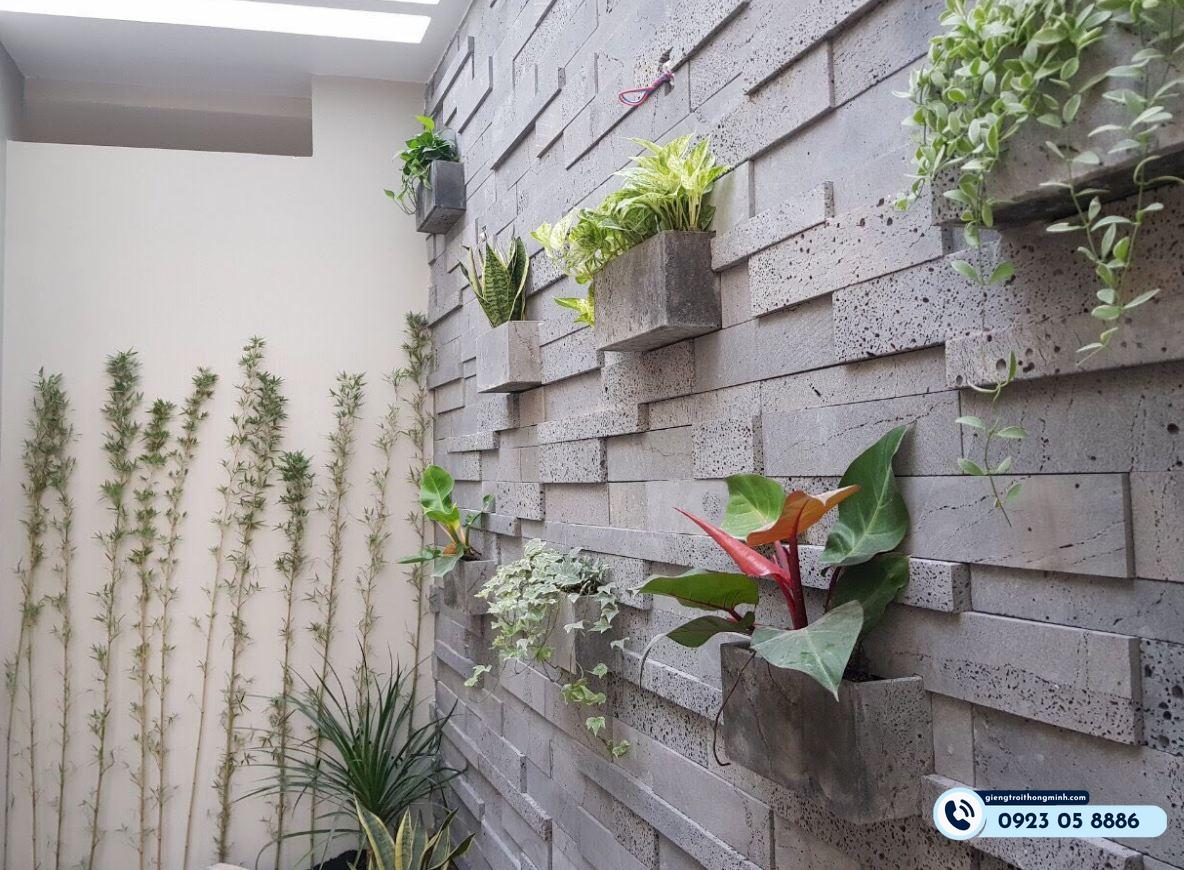 ốp giếng trời đẹp