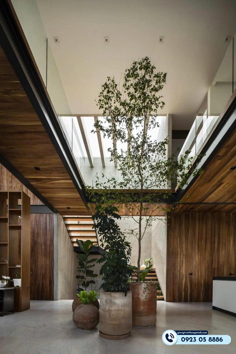 quán cafe có giếng trời